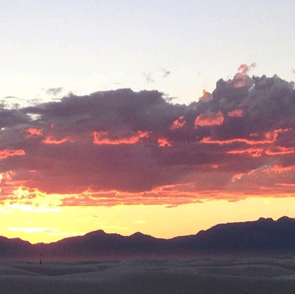 Meet your Posher, Glenda - Picture 1 of 1